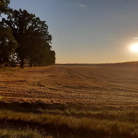Bauernstuebchen Appartement Below